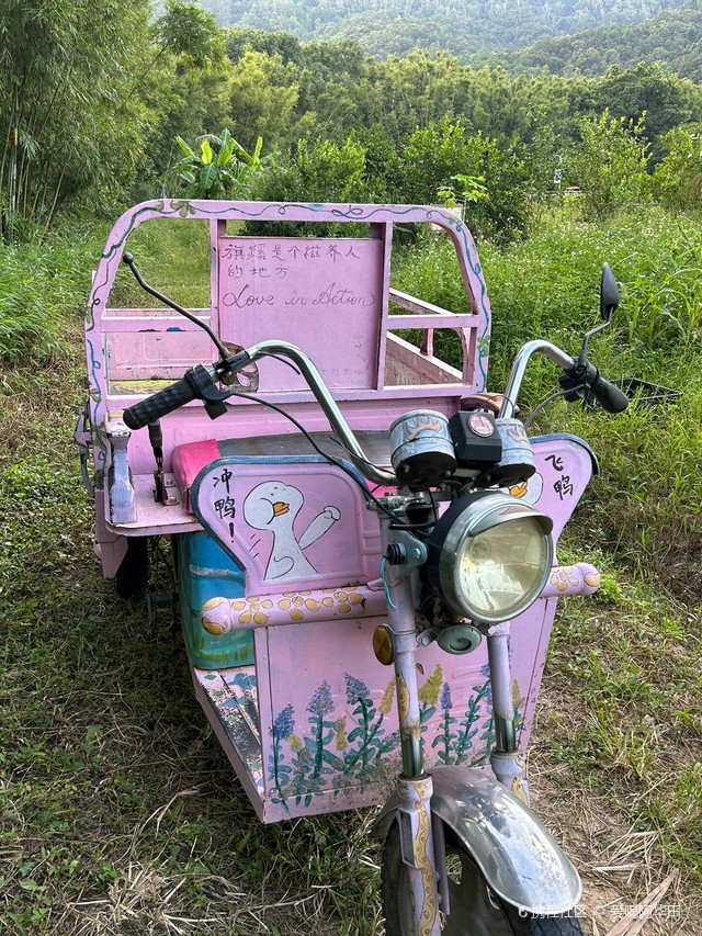 中山五桂山旗溪村|体验治愈"菊次郎的夏天"