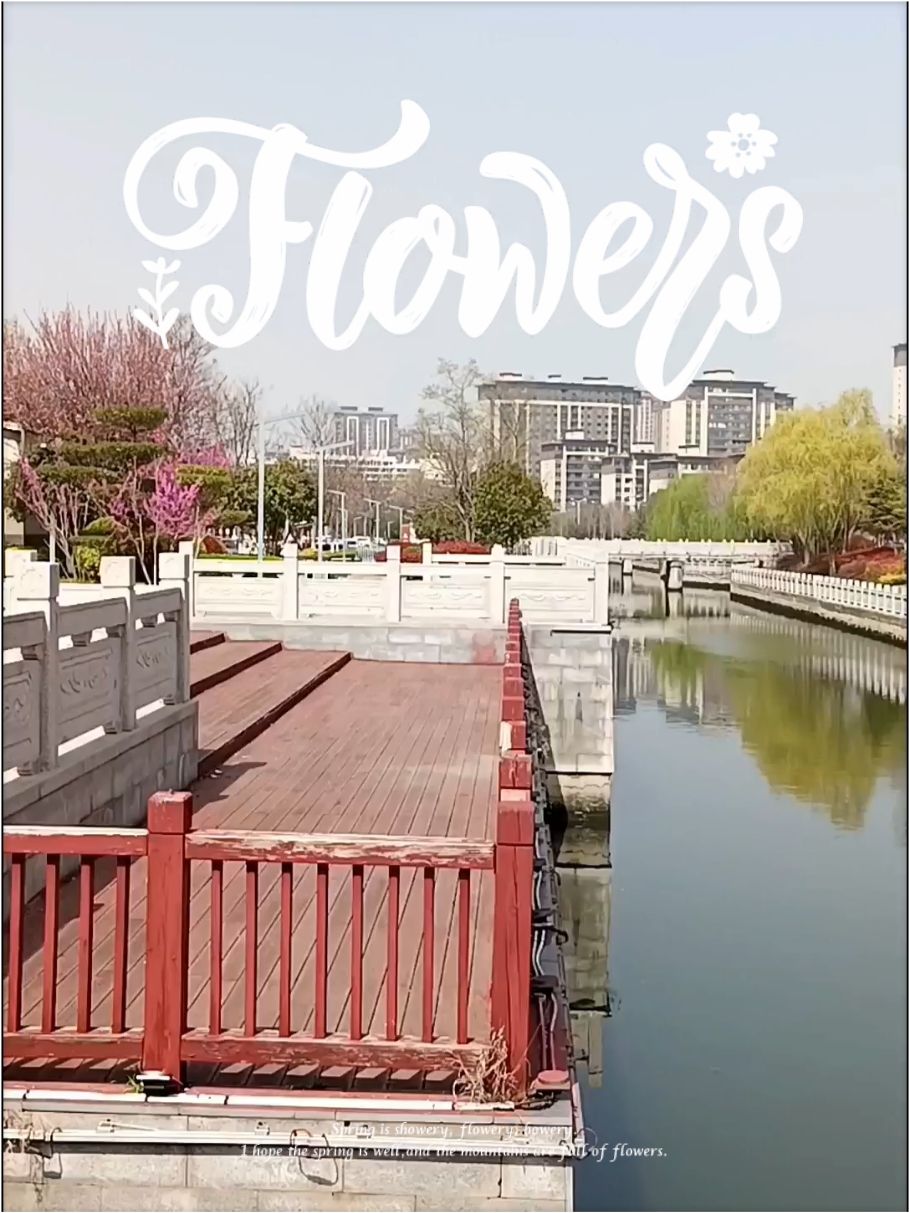 春暖花开 护城河边 静听鸟鸣