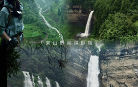 吴二大排档(小十字店)