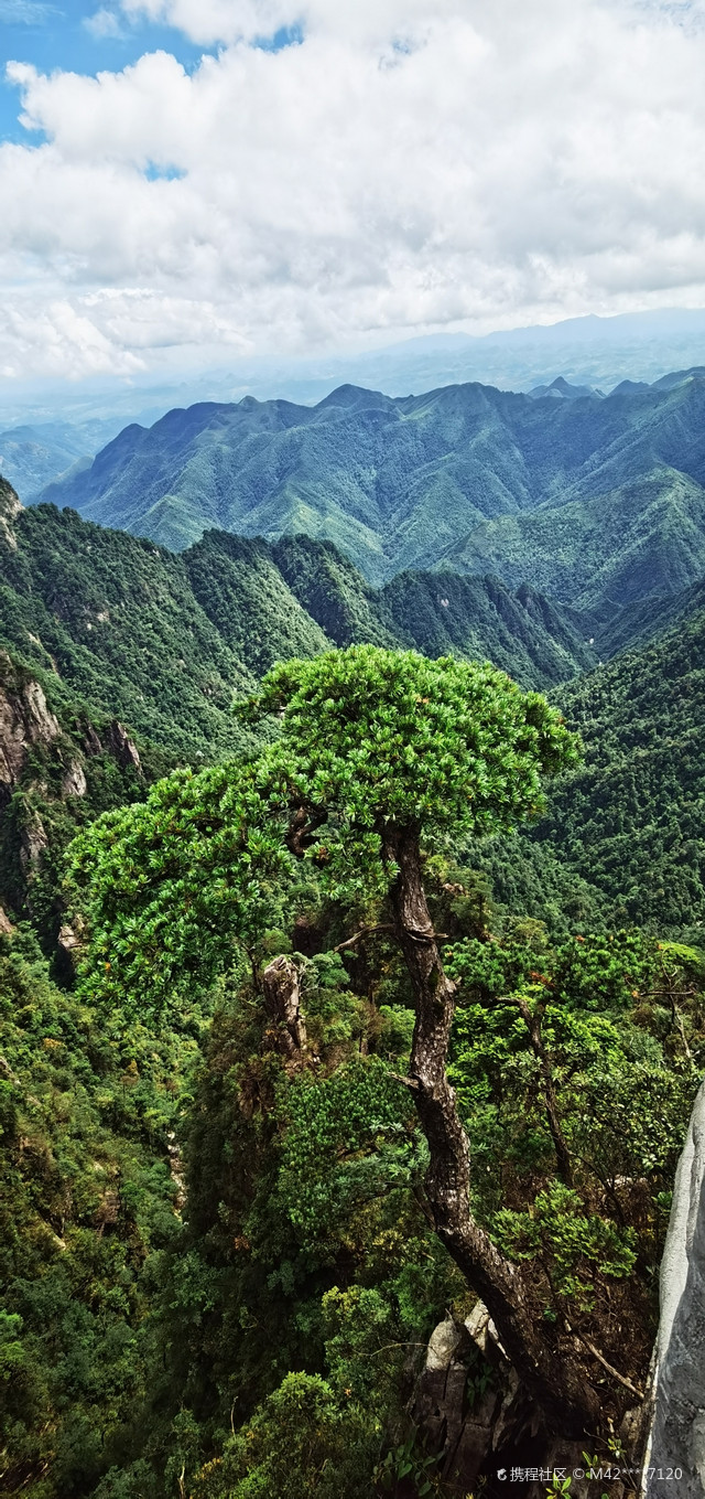 景点地址:湖南省郴州市宜章县瑶族乡莽山森林公园西门