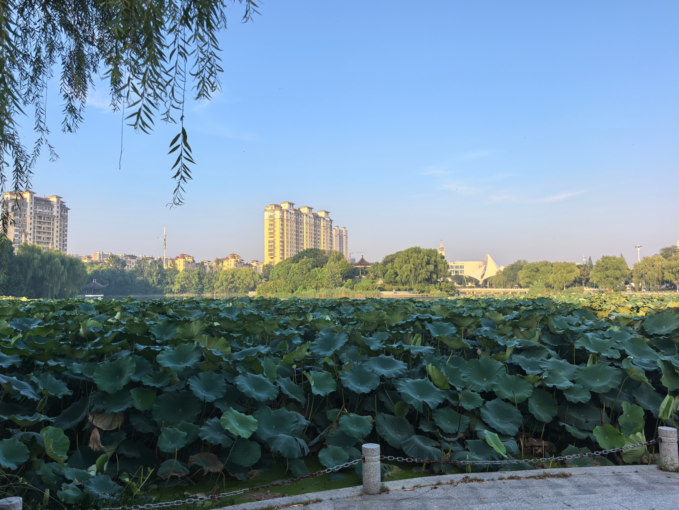 金地肥牛府(秀水街店)