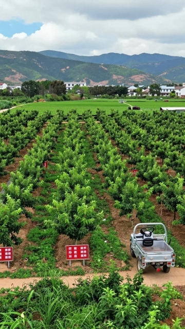 陆良县芳华镇海清烤鸭店餐厅图片