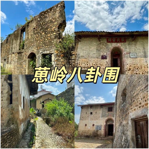 翁源县江尾镇小观园休闲农庄餐厅图片