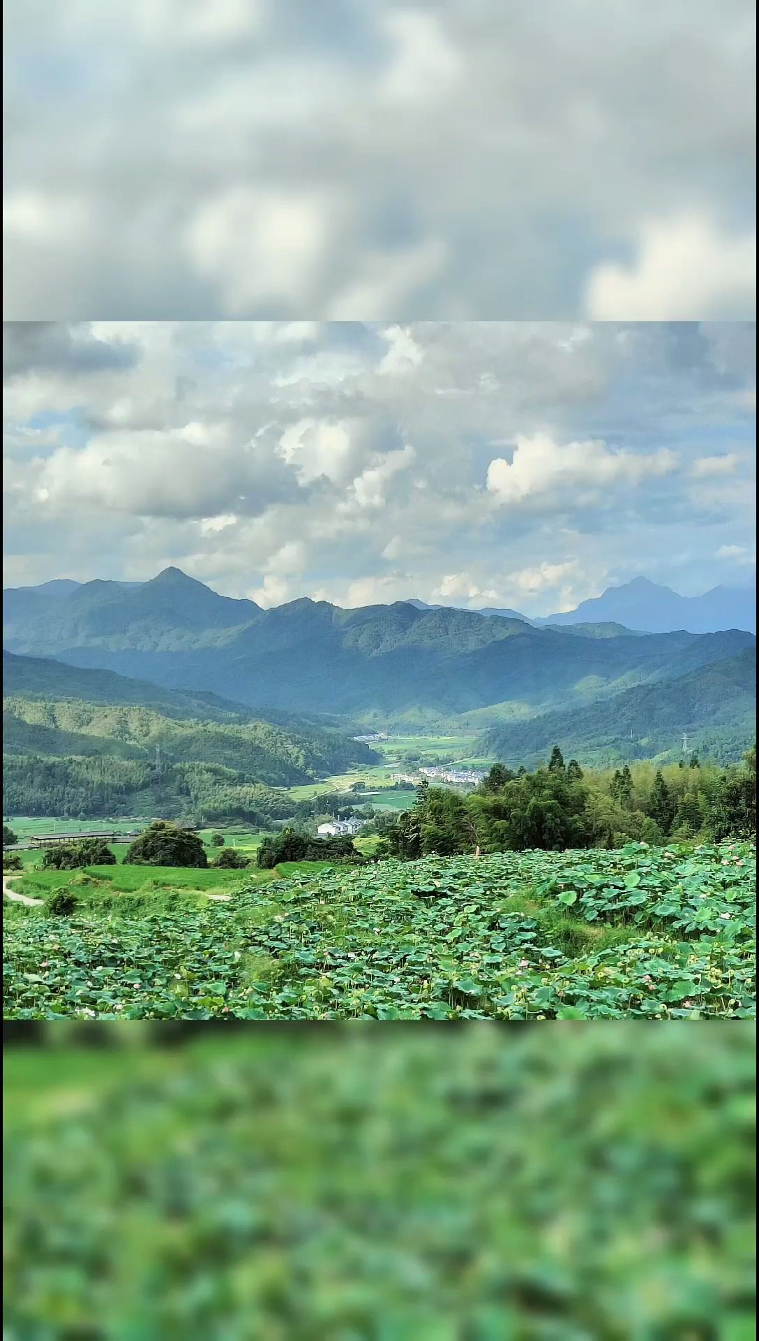 瑞士风山景——建宁高峰村梯田莲海