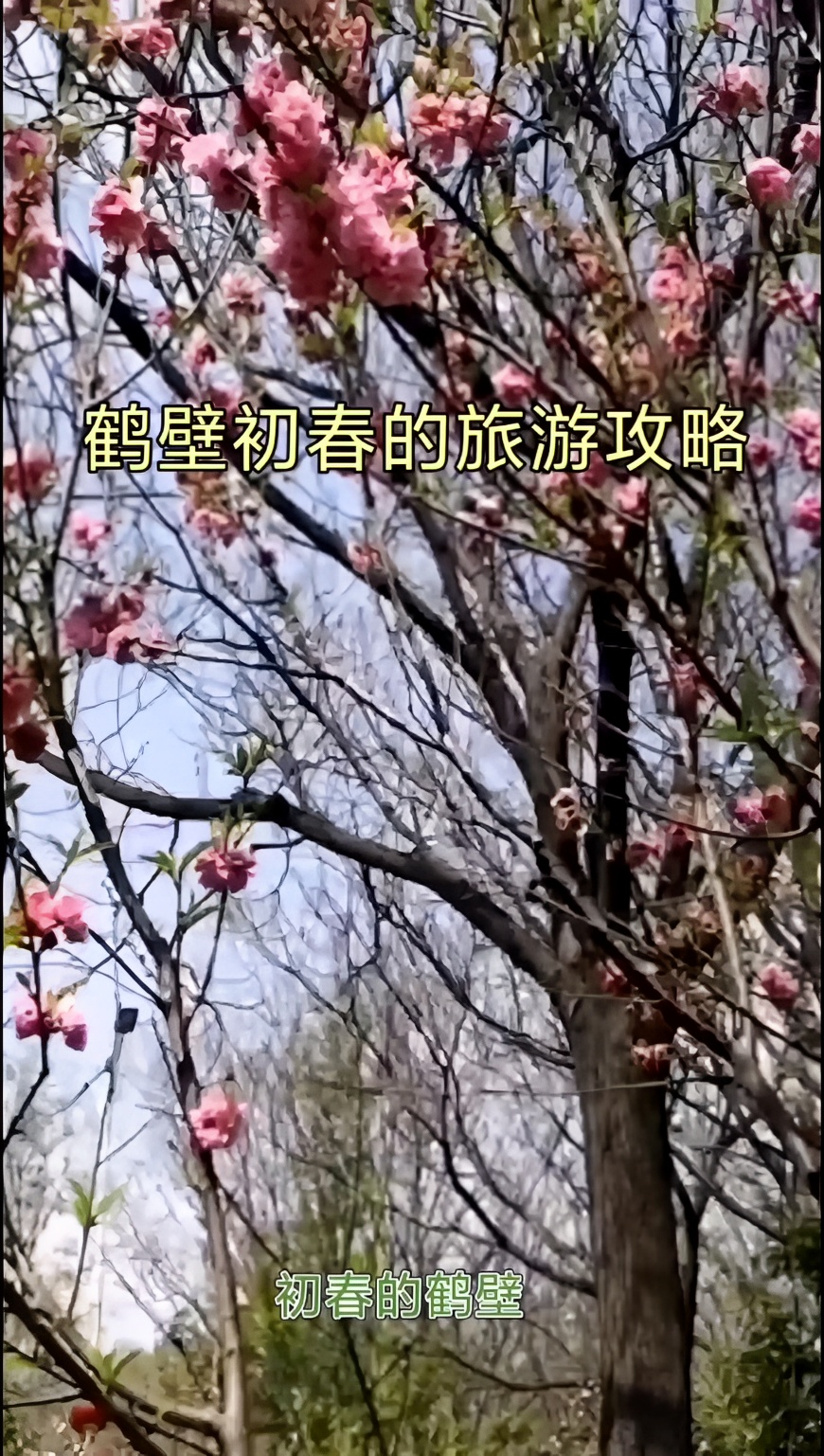 鹤壁初春旅游攻略：探秘美丽土地，感受自然馈赠