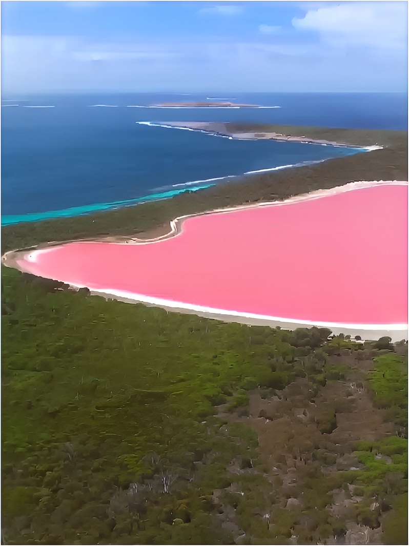 澳大利亚粉色湖