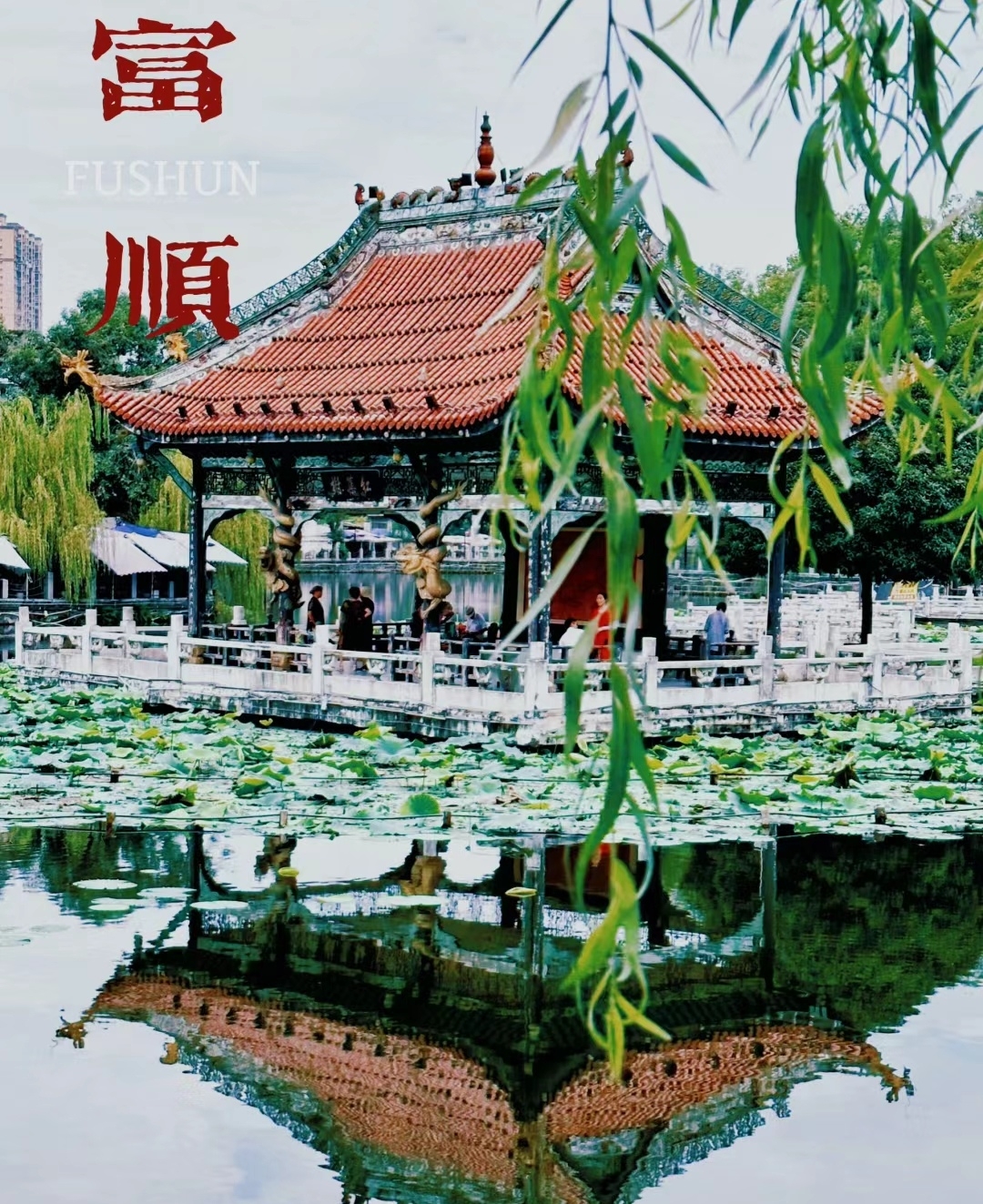 四川富顺是一个历史悠久且充满魅力的县城，以下是一些旅行攻略供您参考：  富顺文庙：位于富顺县城中心，