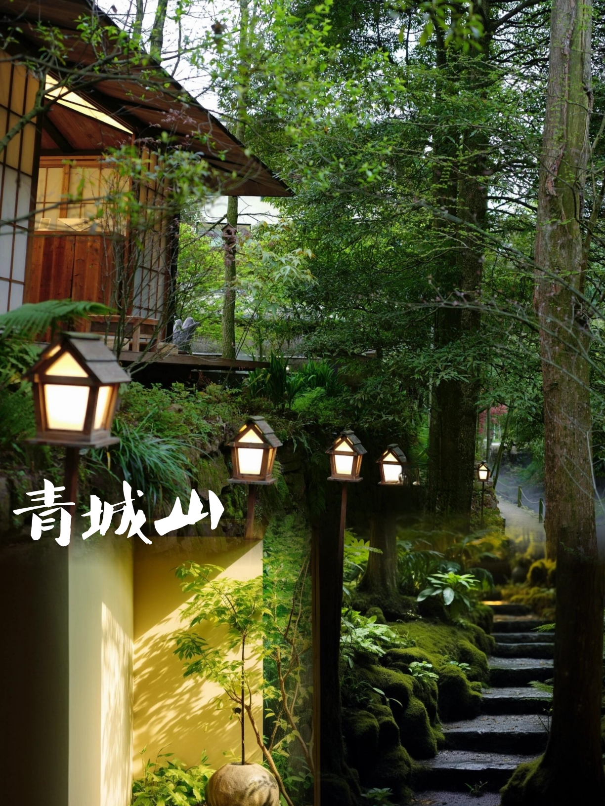 四川✔森林私汤度假！☞日式小庭院！