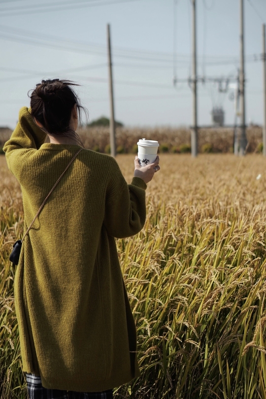 稻田咖啡餐厅图片