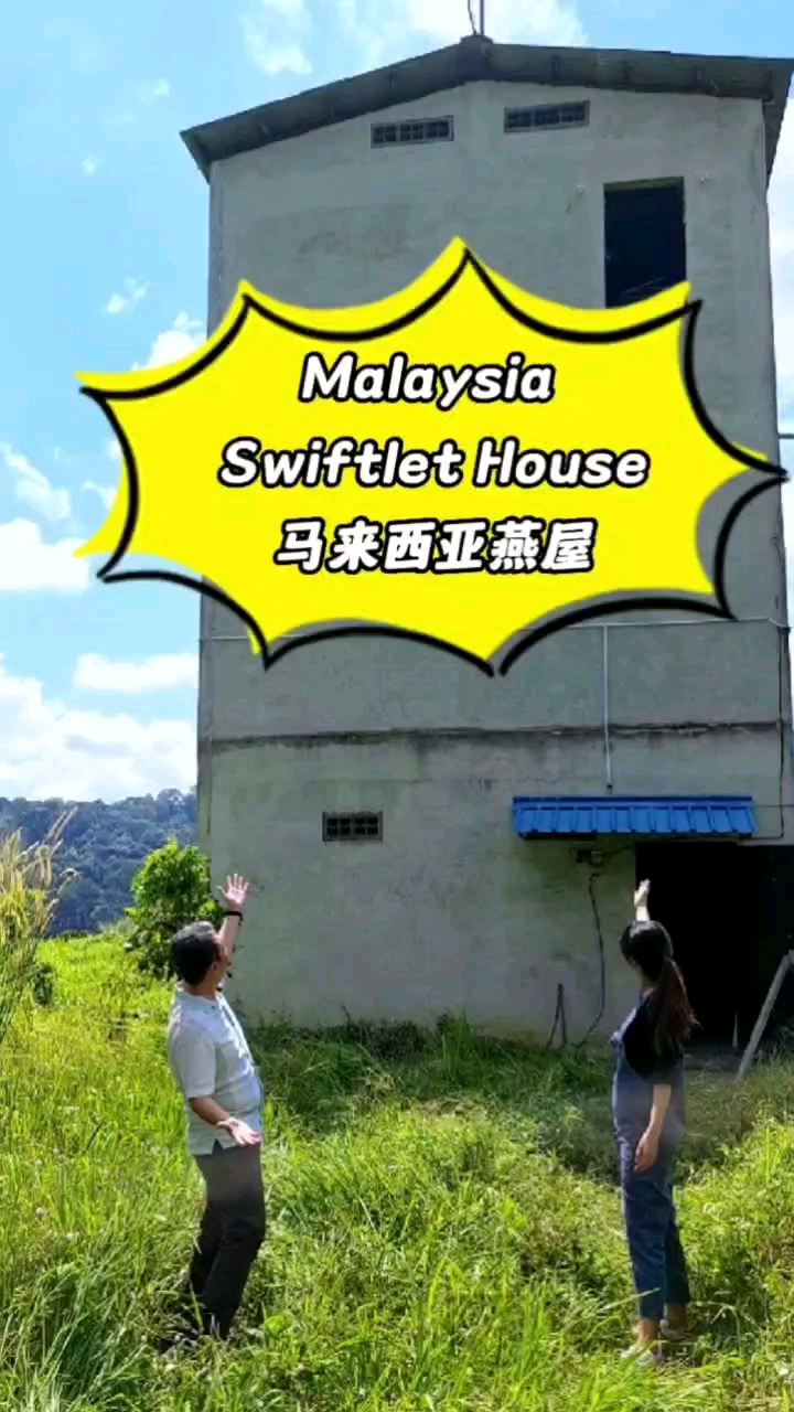 马来西亚郊区里的燕屋