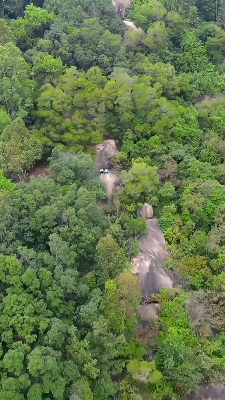 如果你爬不上梧桐山 那就来光明 大雁山 吧 这里山青水秀 海拔230米