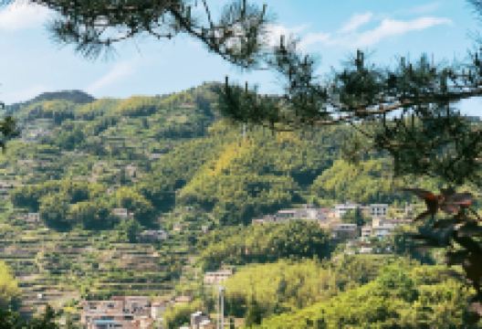 西坑村景点图片