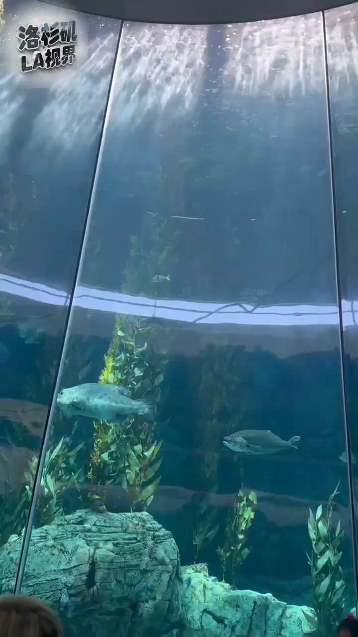 欢迎来到太平洋水族馆