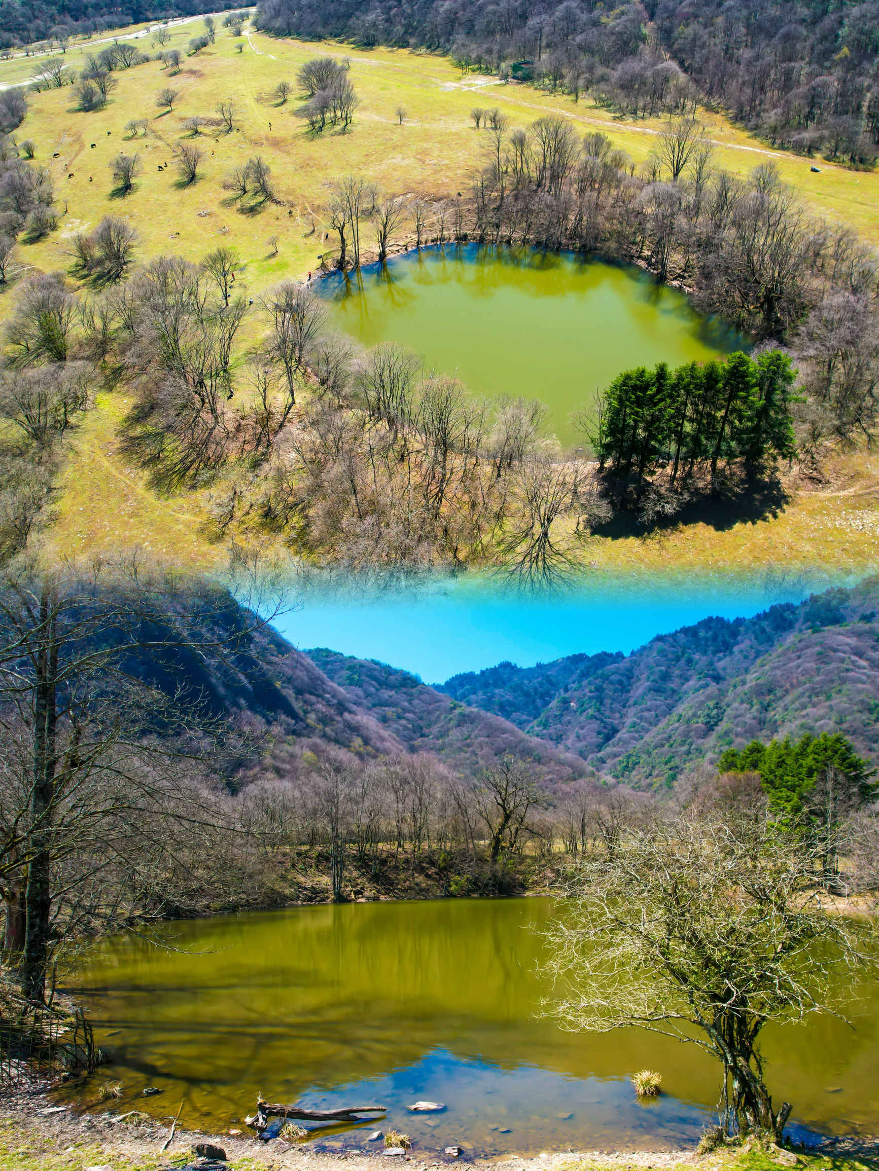 陕西旅行｜徒步汉中西大池，巴山里的小众秘境