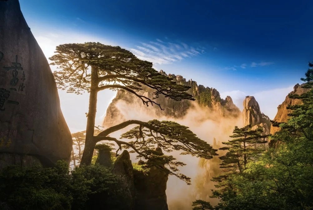 黄山之旅：自然之美，文化之韵