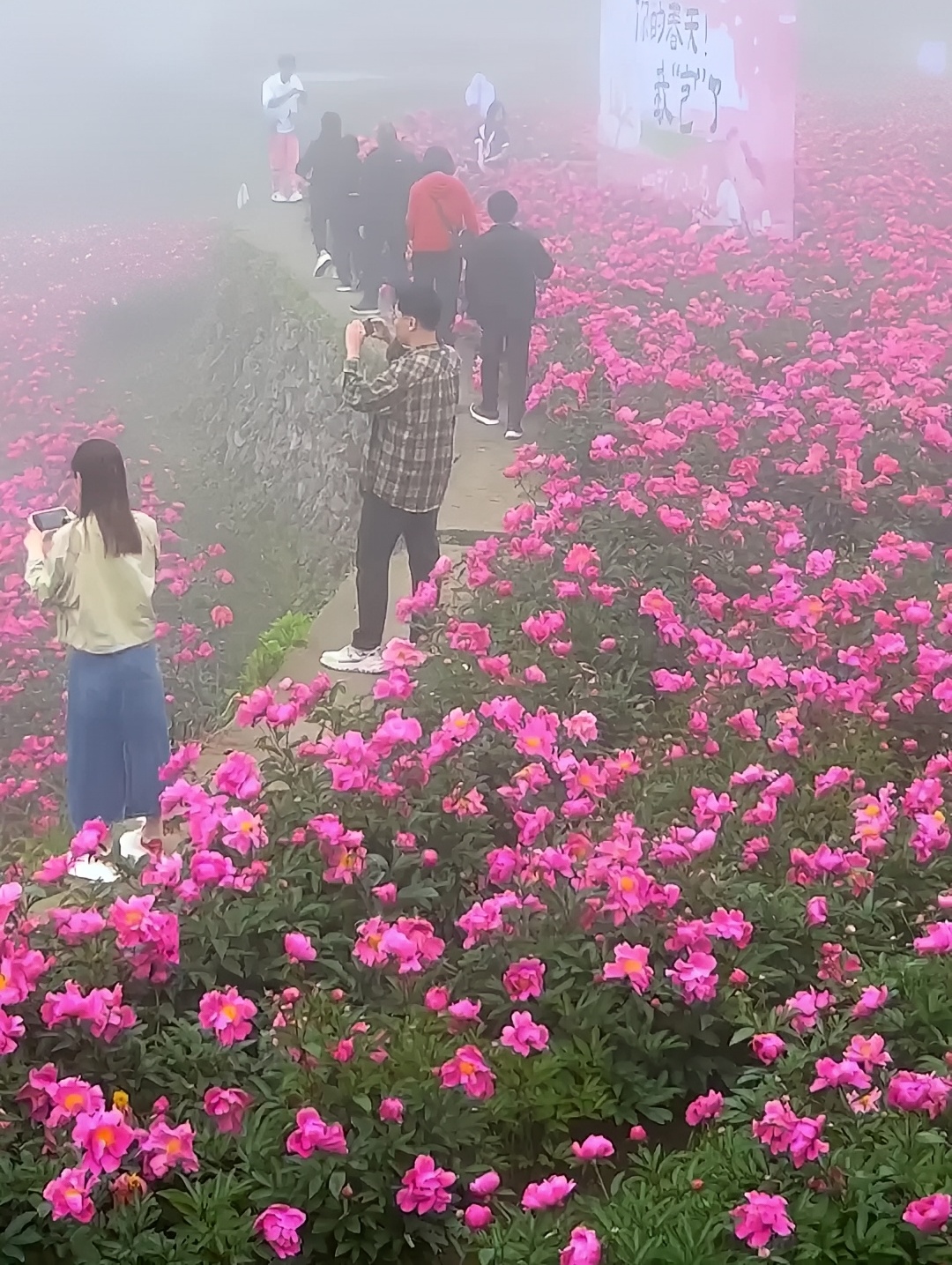 台州被忽略的宝藏地，黄岩白石栖云山居，浓雾如清沙般弥漫，让人仿佛置身于一个梦幻般的世界，漫步其中，视