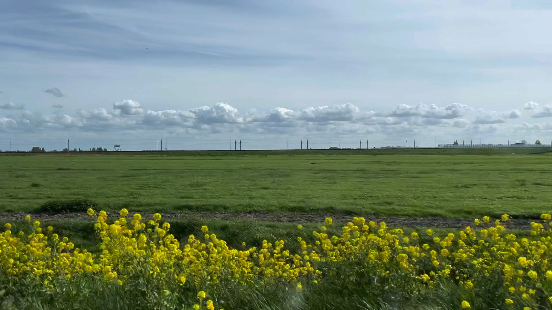 春天行驶在荷兰的公路上，美的如同一幅画卷
