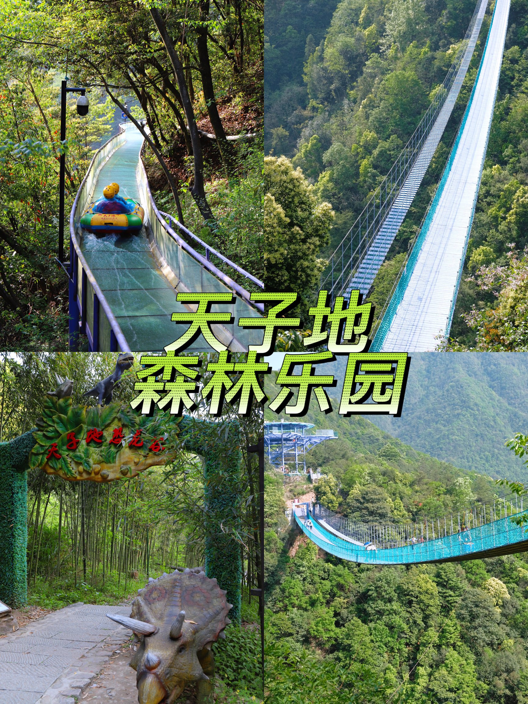 拥抱大自然 探索杭州天子地森林乐园