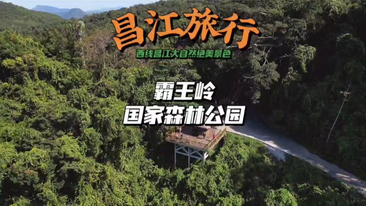 霸王岭国家森林公园