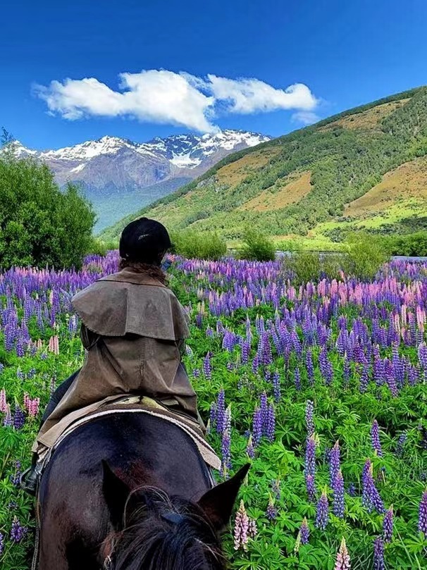 西兰南岛看过10个风景才算去过格林诺奇