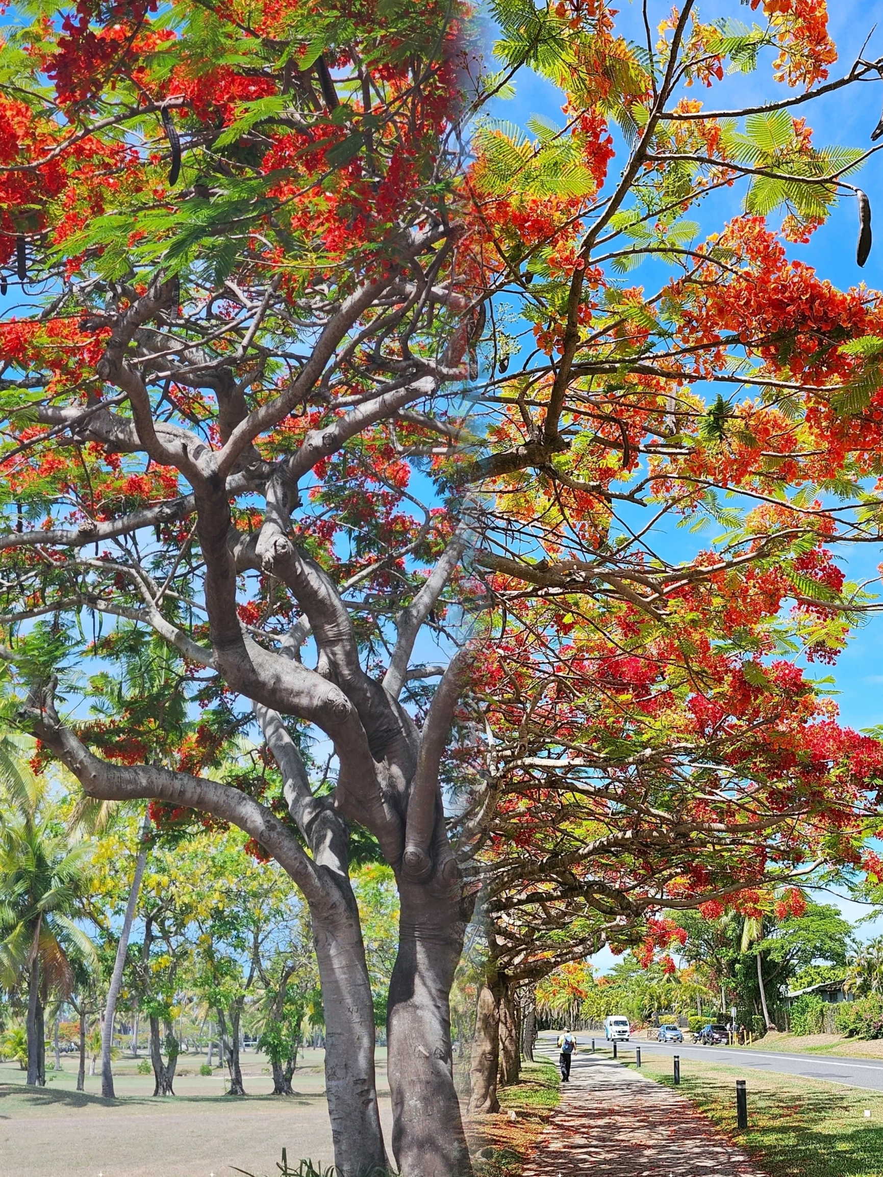 斐济天堂，碧海蓝天的快乐时光
