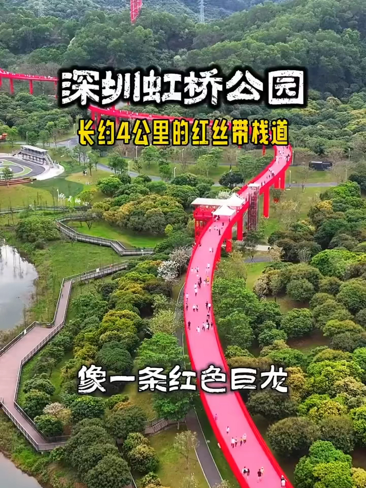 远远望去好像一条红丝带，这就是深圳光明虹桥