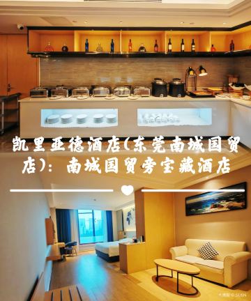 凯里亚德酒店(东莞南城国贸店)图片