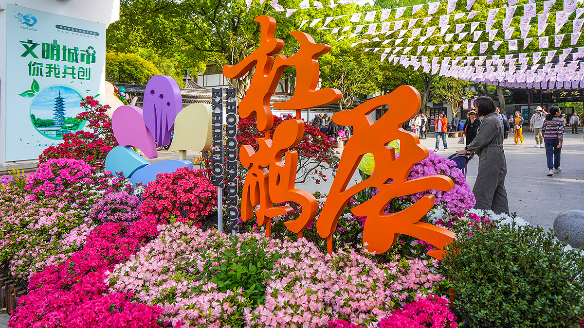 上海杜鹃花花展，松江方塔园