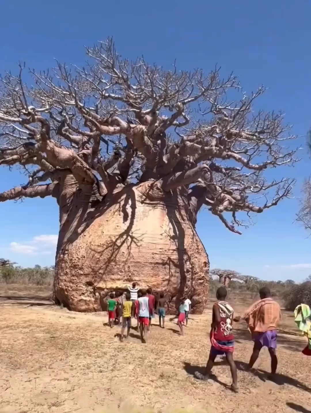 总要去一次非洲吧🌍