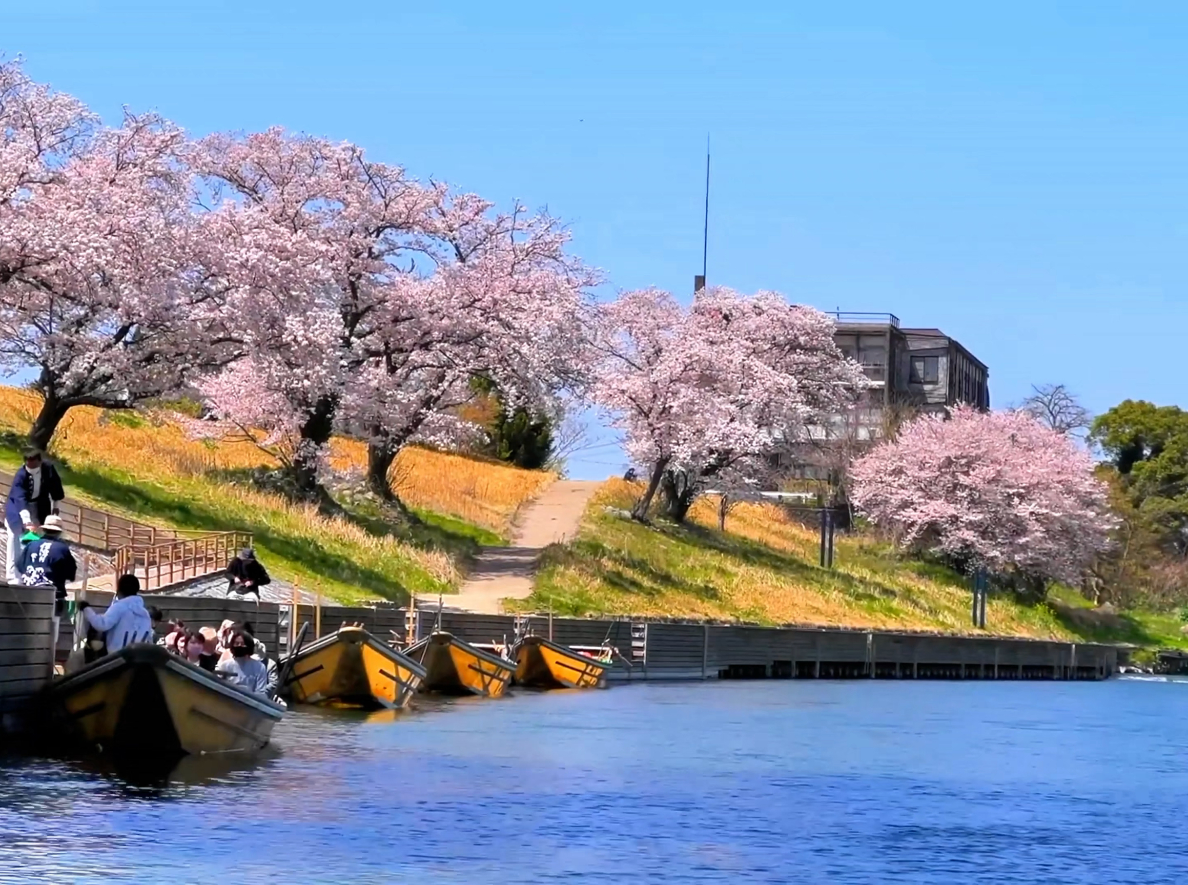 保津川游船之旅：岚山流水间的风情