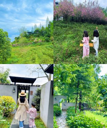 青城山素喜青山森林民宿图片