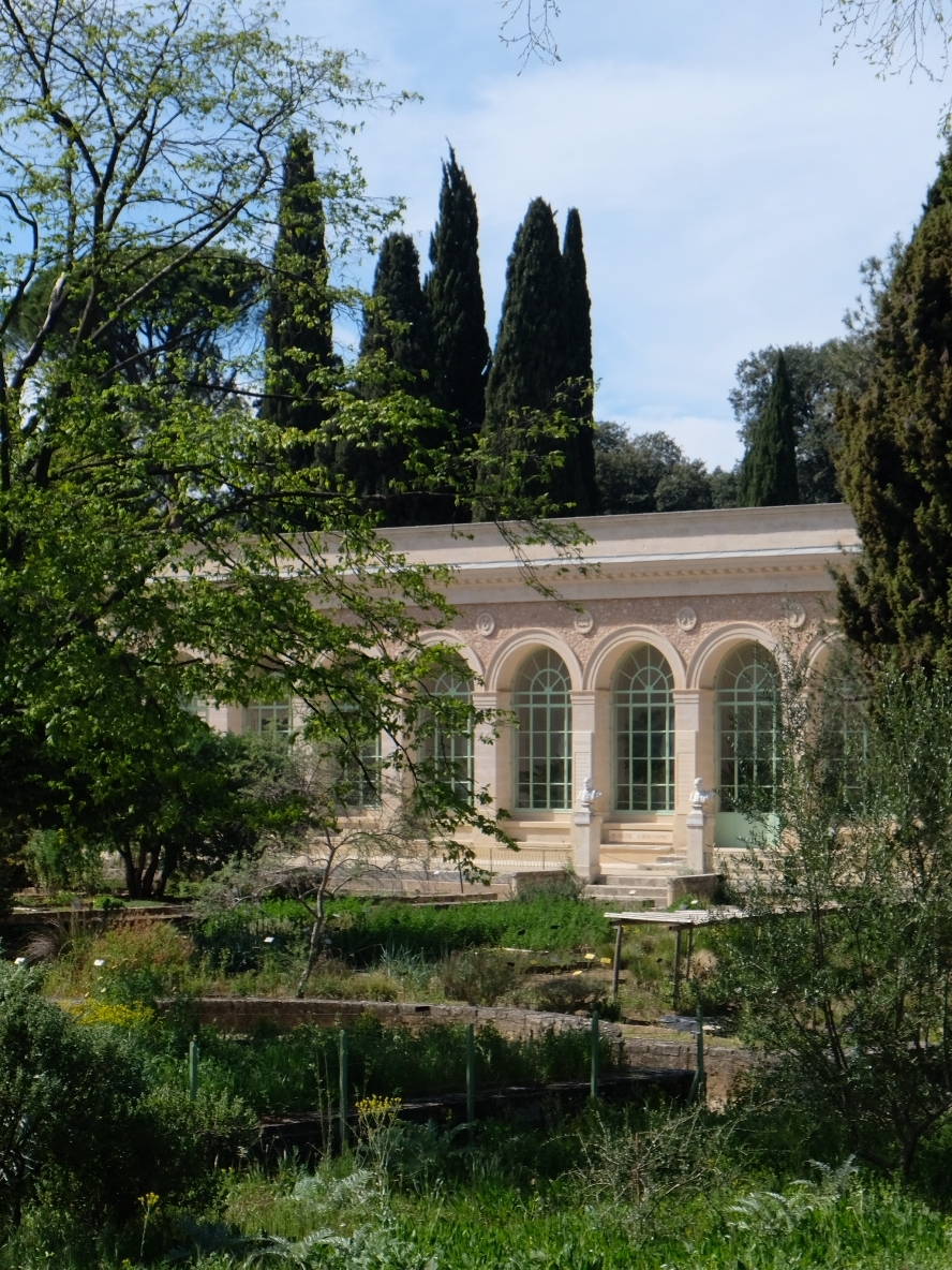南法旅行｜超美的Montpellier花园千万不要错过😍