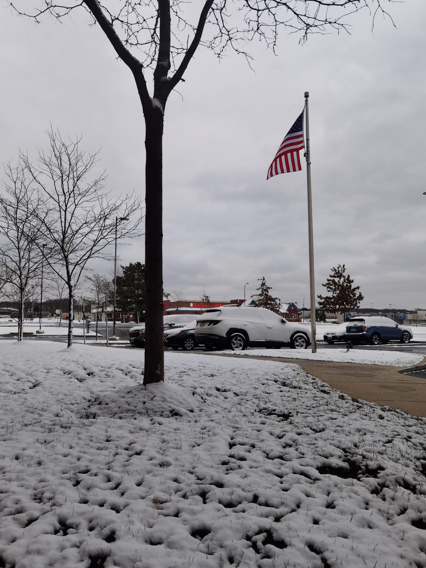 第五站俄亥俄州往弗吉尼亚里士满，一夜风雪，白雪皑皑，高速上还好没有结冰里士满