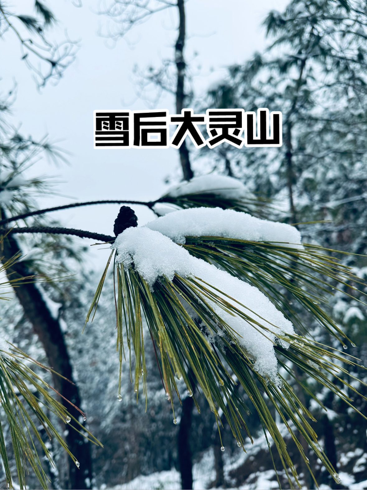 老家的一座小山-大灵山