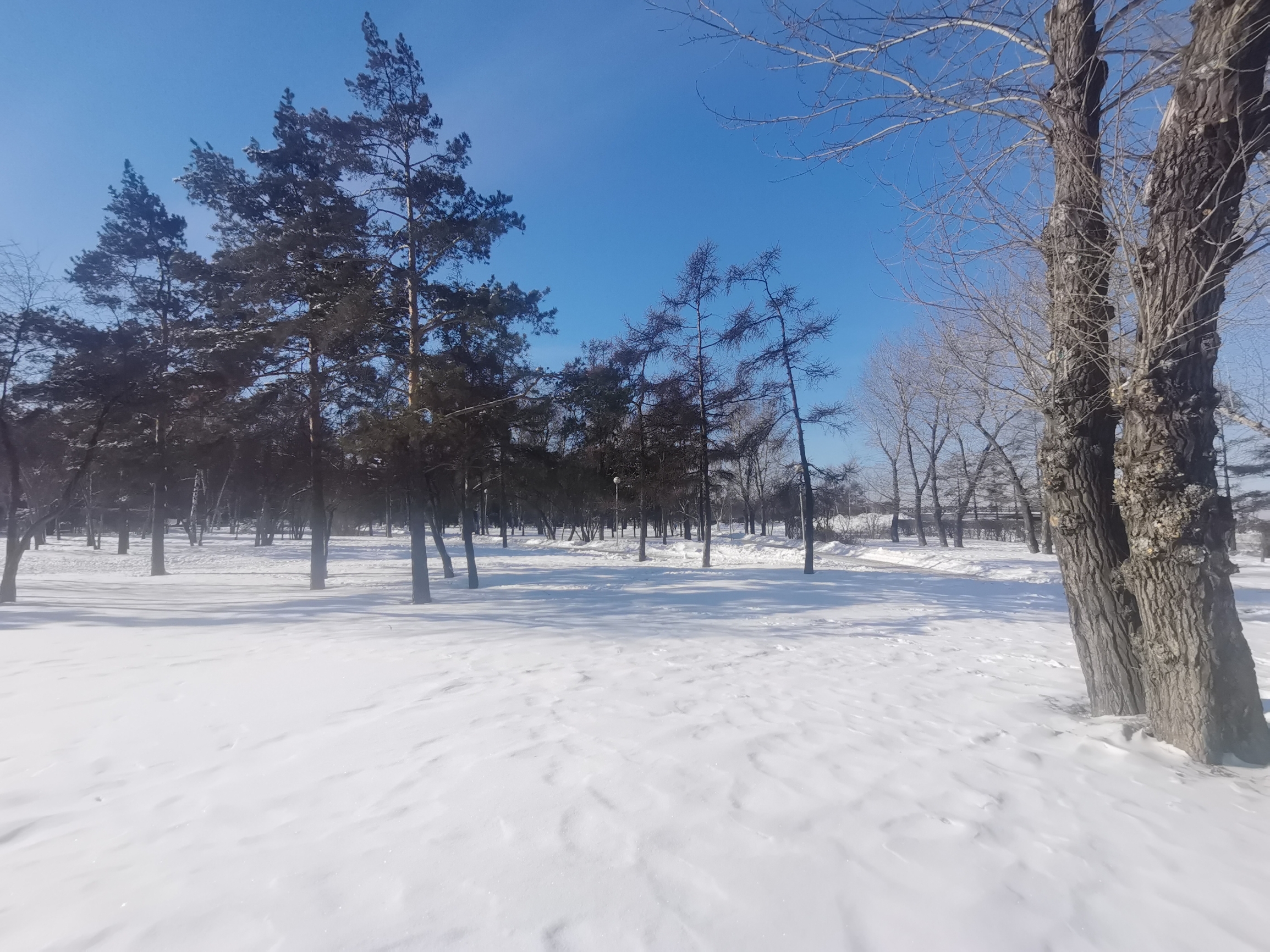 林海雪原。