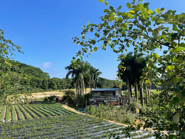 深圳凤凰山农趣谷|99都不知道的宝藏遛娃农园