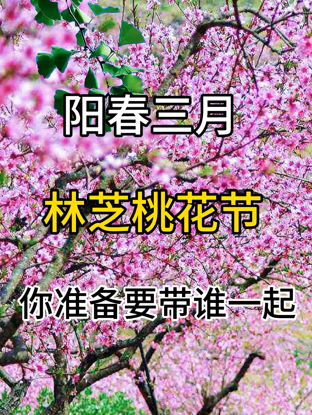 中国最美的春天！ #春天玩点花的 #春天赏花季 #旅行攻略 #和朋友出去撒欢儿 #情侣出游