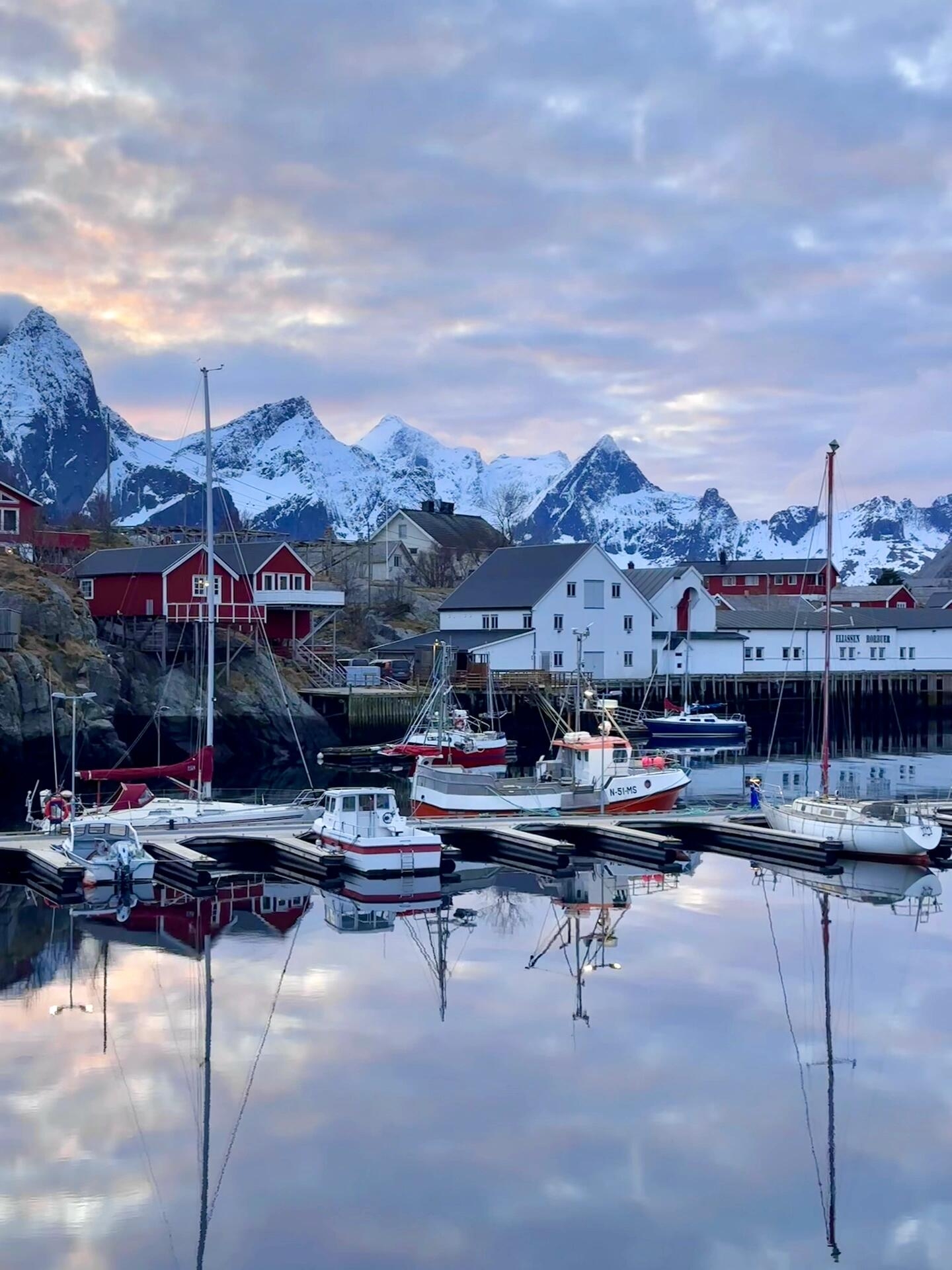 挪威🇳🇴Live图让北极的春天更有生命力！