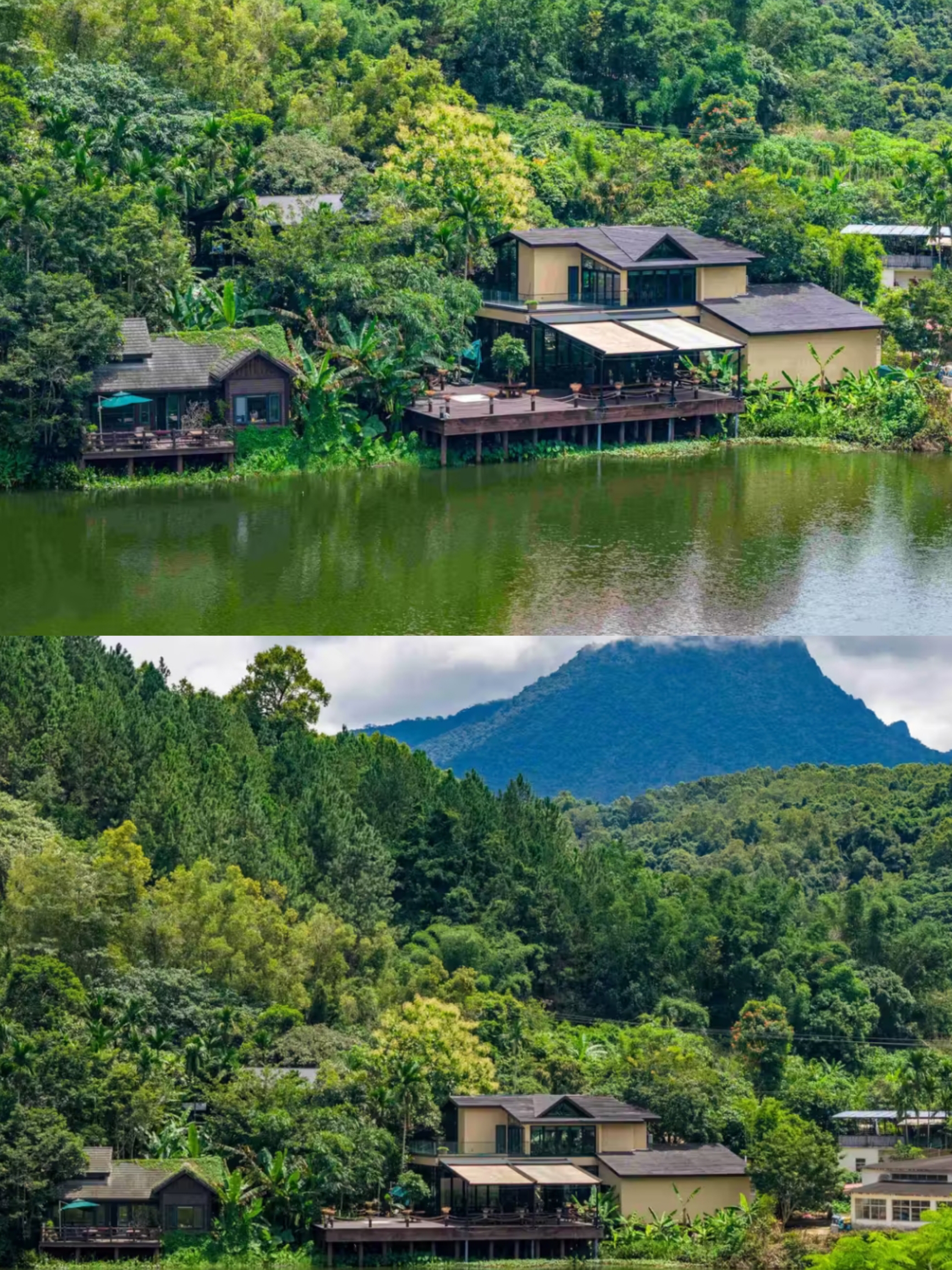 青山绿水为伴🤩🤩根本不想退房