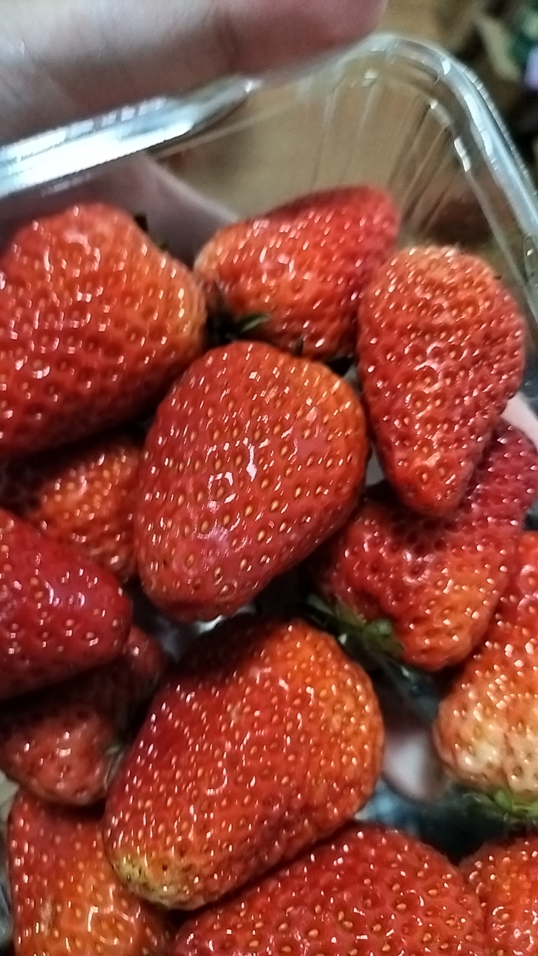 草莓可以