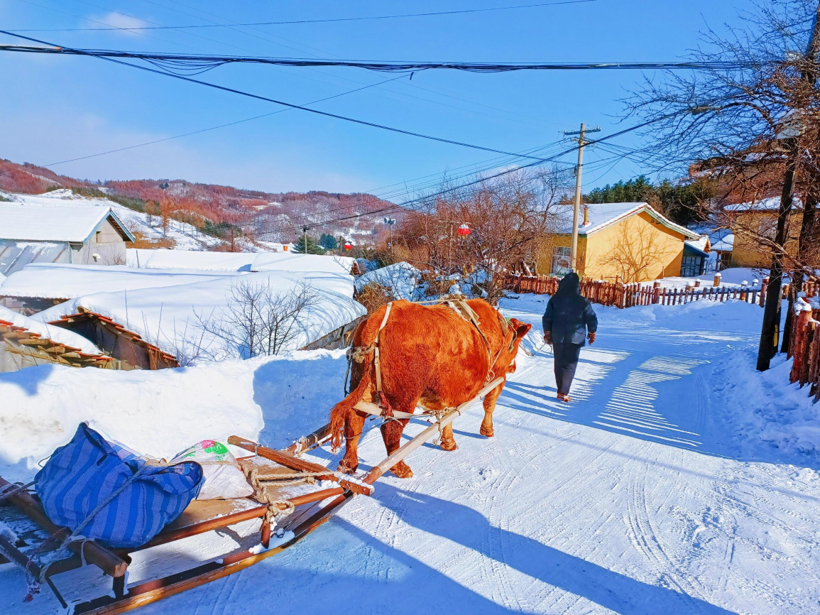 吉林松岭雪村郭家大院餐厅图片