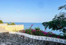 Sea Haven美食图片