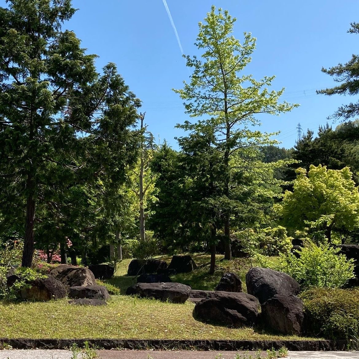 【山形自然探索】🌳✨山形沼の辺公園全景指南🚣‍♂️🌸：沉浸于自然的宁静之美！  🌟引言：山形沼の辺公