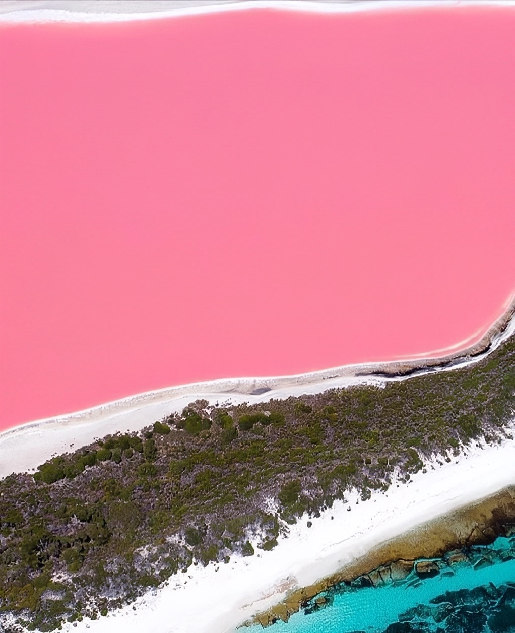 西澳Lake Hillier粉红湖， 谁懂