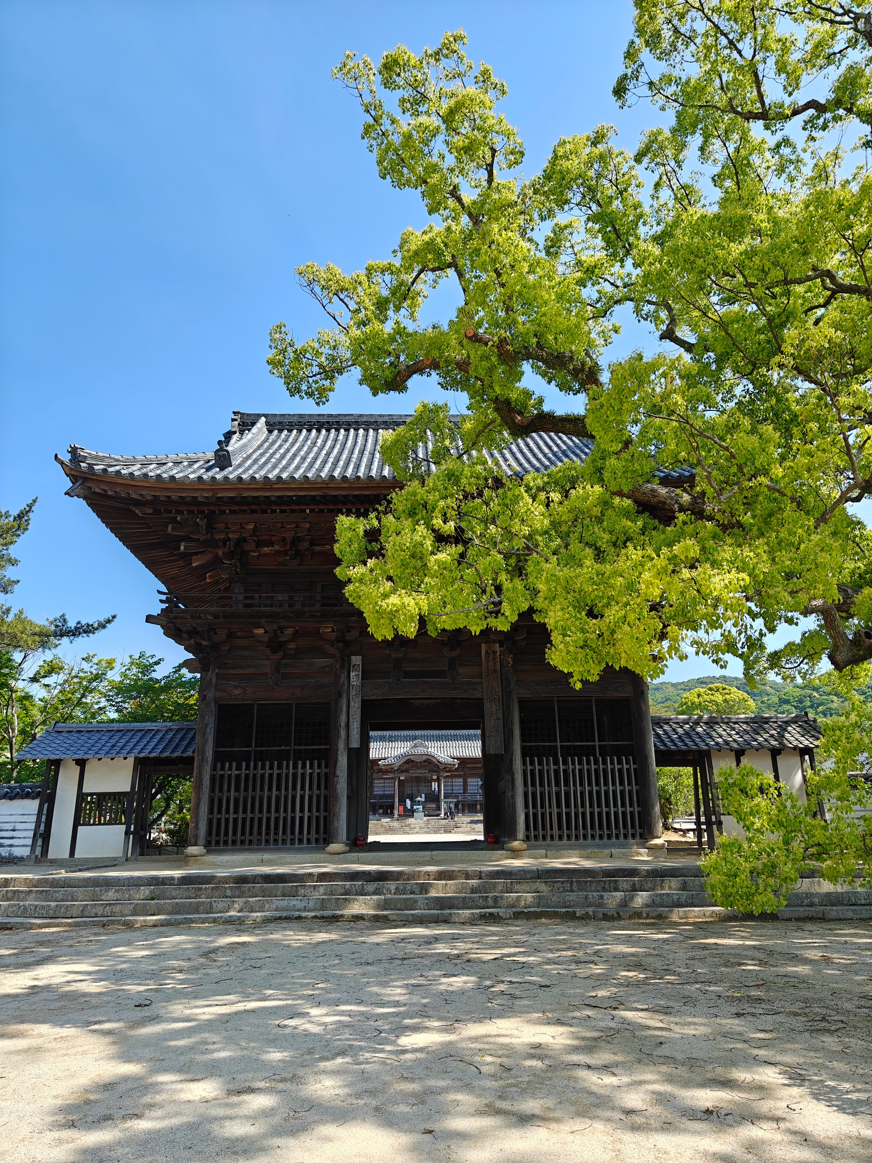 历史悠久的周防国分寺