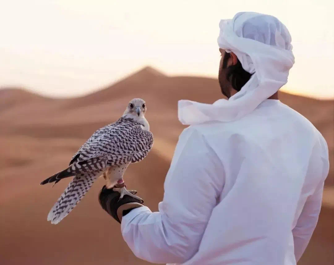 常年霸榜世界第一的沙漠酒店，阿拉伯皇室同款野奢生活