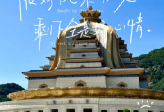 普济寺素斋美食图片