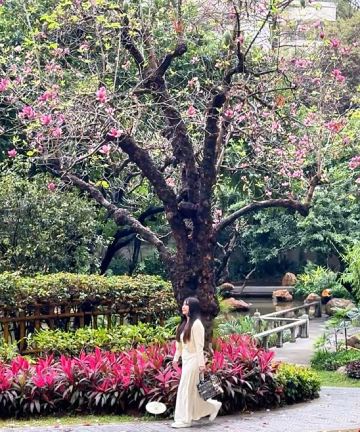 广州花园酒店图片