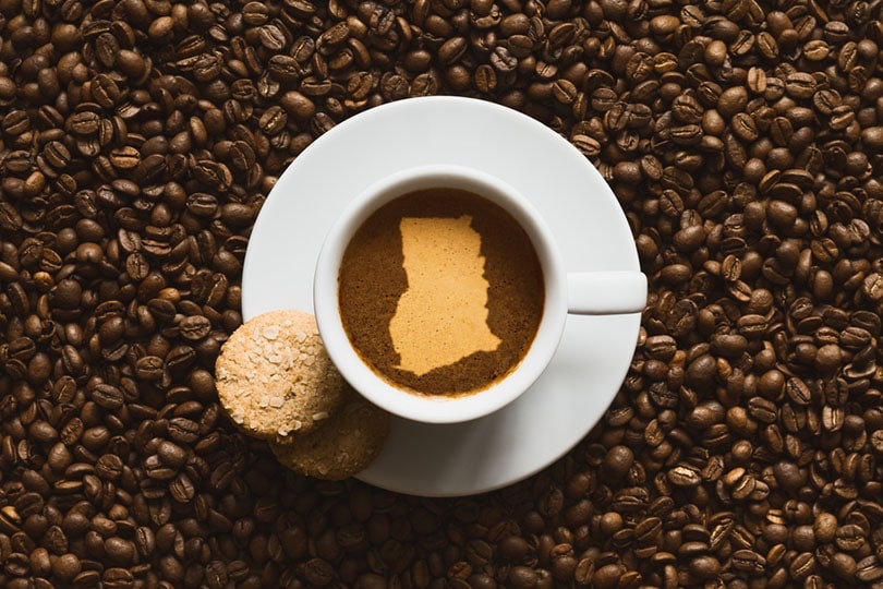 加纳小种咖啡…