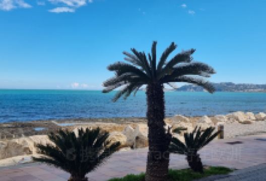 Curry Palace美食图片